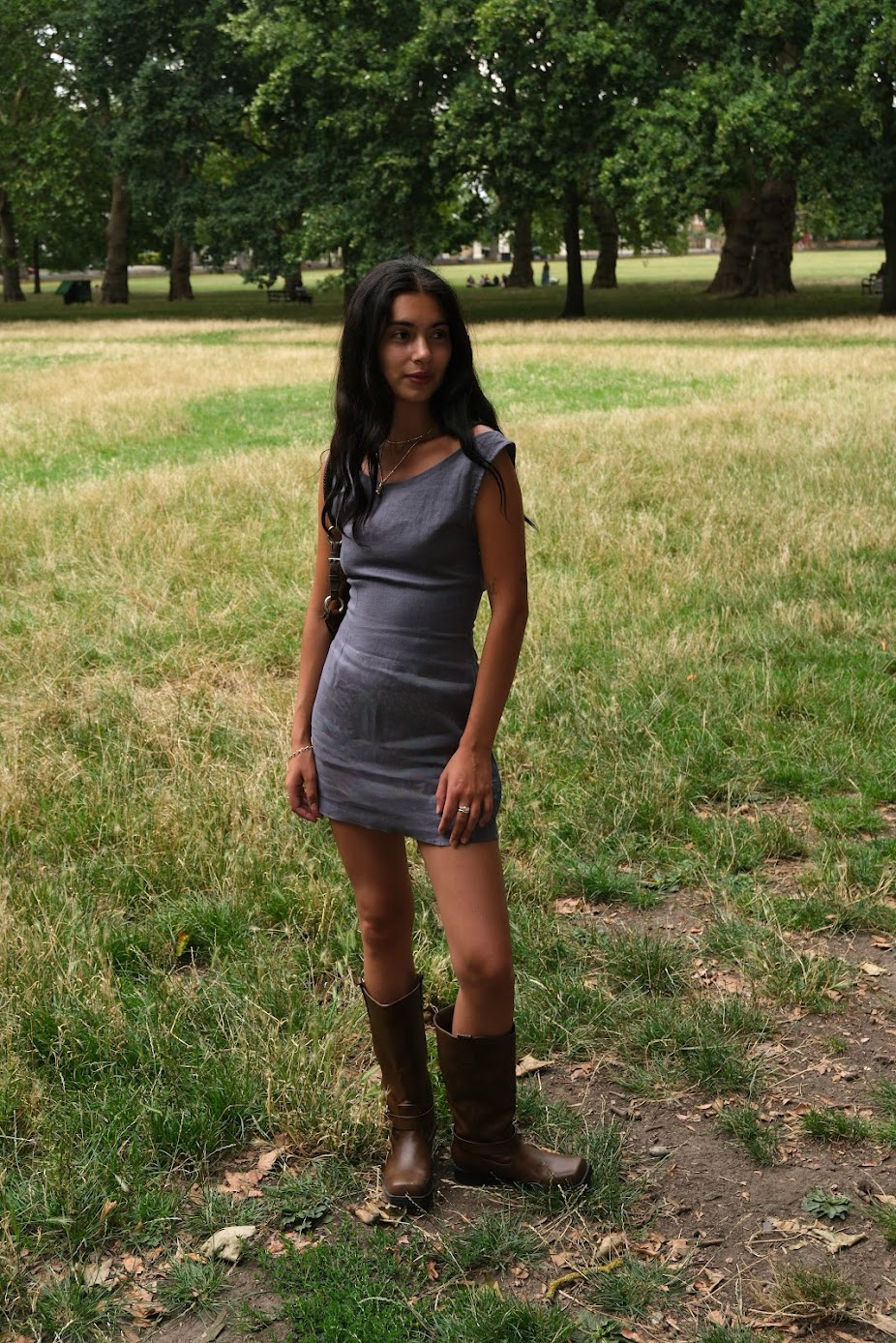 Sofia Dress - Haze